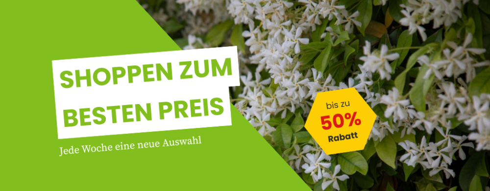 Angebot