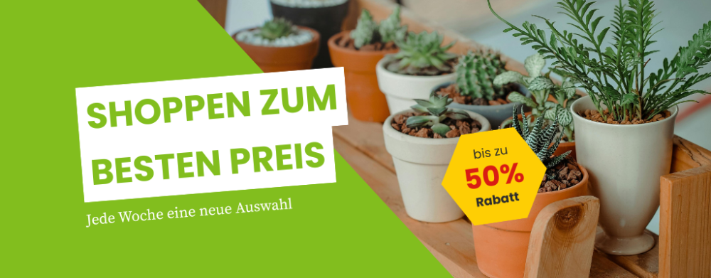 Angebot