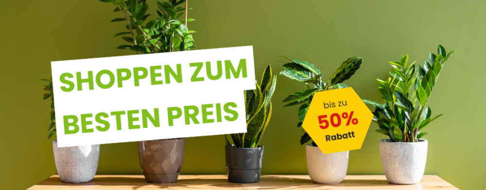 Kunstpflanzen im Angebot: stilvoll und preiswert