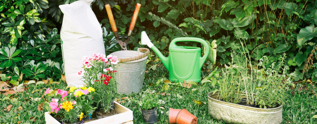 Frühjahrs Stauden für einen farbenfrohen Garten