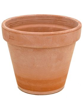 Terra Cotta Topf