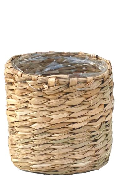 Alexis-korbe-naturlich-6cm