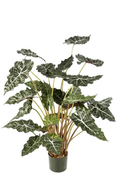 Alocasia kunstplant