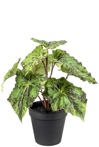 Begonia kunstplant