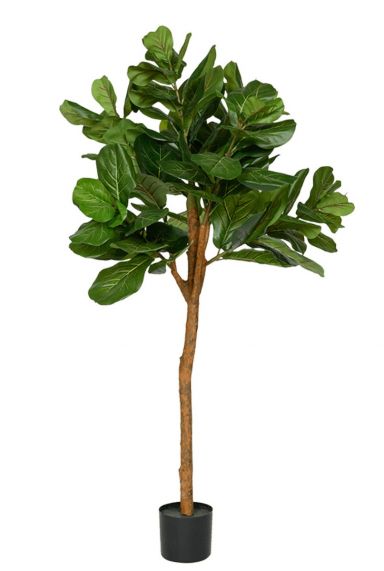 Ficus lyrata kunstboom