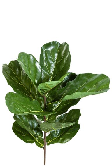 Ficus lyrata stek kunstblad