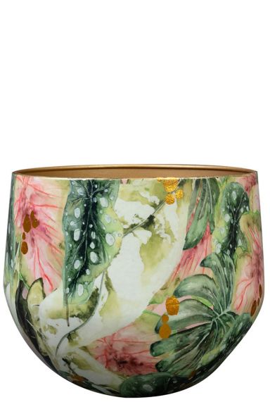 Lammie monstera mystery topfe 2
