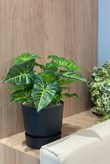 Philodendron Selloum Kunstpflanzen von 75cm kaufen?- 123zimmerpflanzen