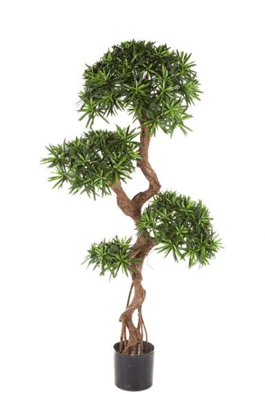 Podocarpus künstliche Baumpflanze