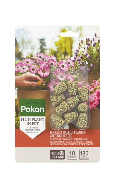 Pokon-terrace-balcony-plant-nutrition-cone-10pcs