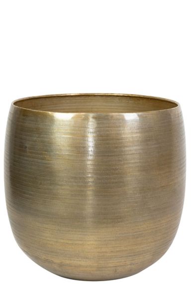 Rowen pflanzen topf 42