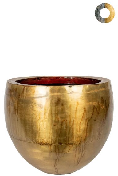 Ter-steege-fabien-gold-30cm 1