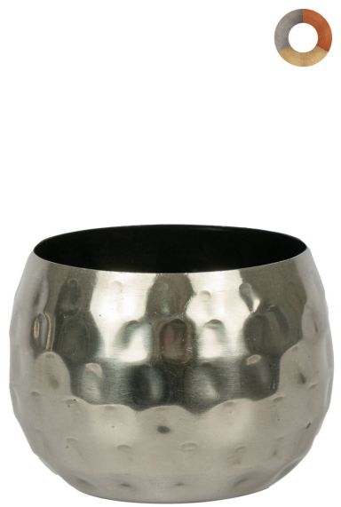 Ter-steege-kody-silber-7cm