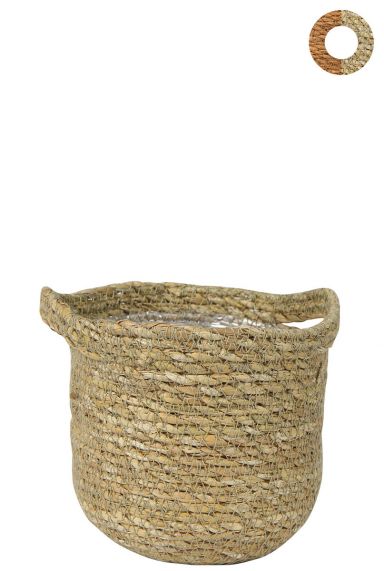 Ter-steege-nelis-naturlich-16cm 1