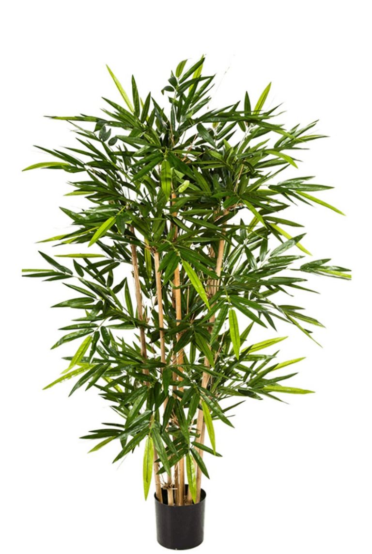 Bamboo Kunstpflanzen von 150cm kaufen?- 123zimmerpflanzen
