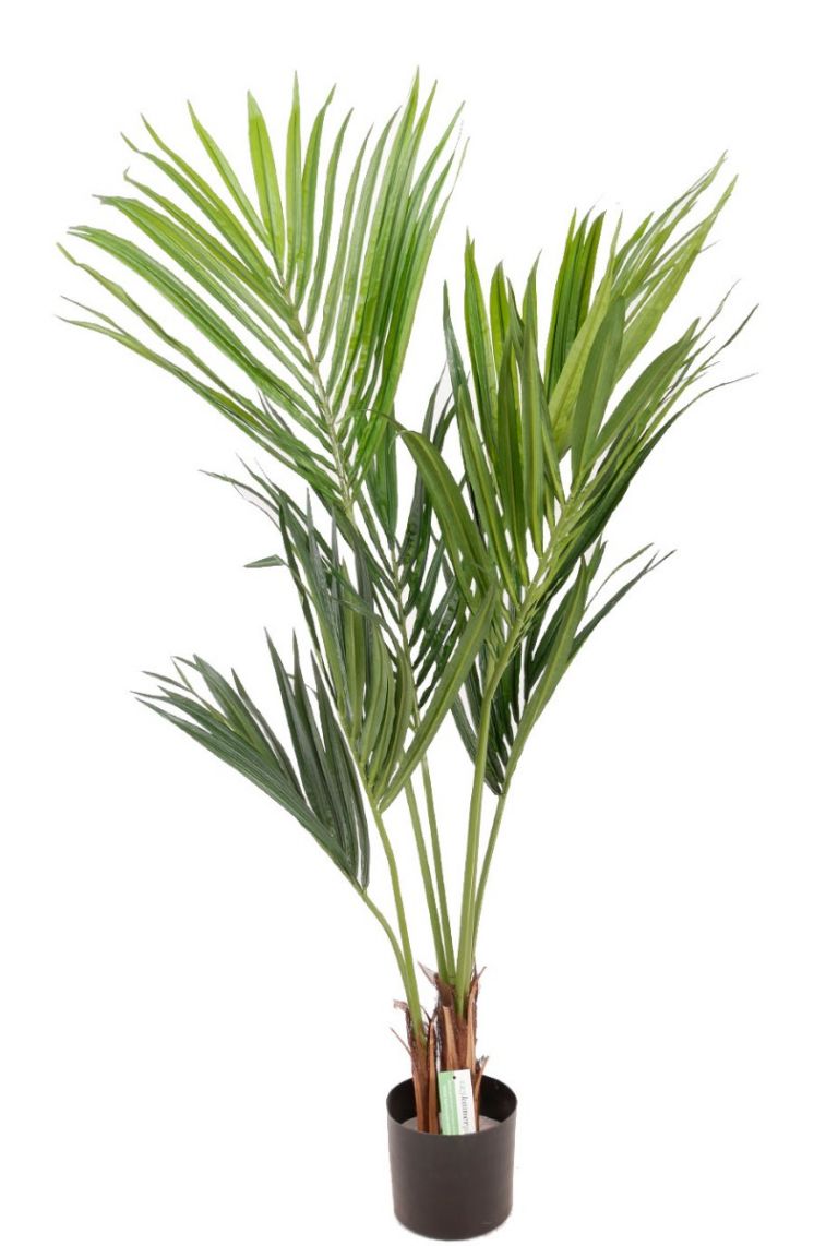 Kunstpflanzen Kentia 140cm von kaufen?- palm 123zimmerpflanzen