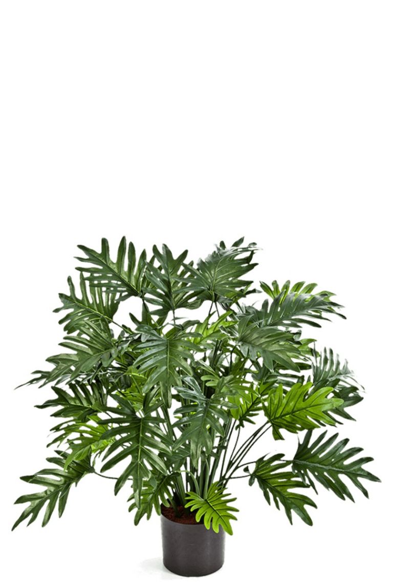 von 123zimmerpflanzen Kunstpflanzen 75cm Philodendron Selloum kaufen?-