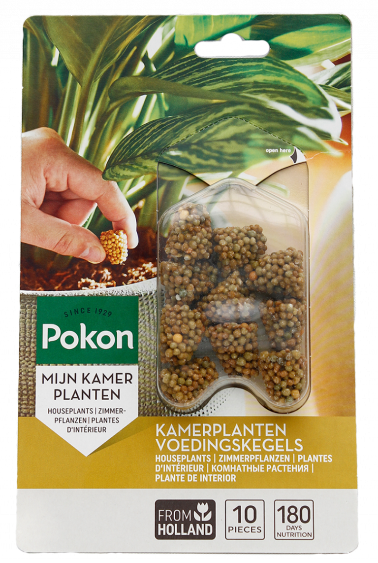 Pokon Dngerkegeln fr Zimmerpflanzen - 123zimmerpflanzen