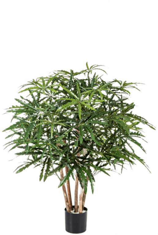 Aralia kunstplant 1