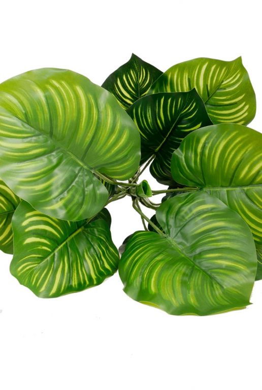 Calathea kunstplant 2