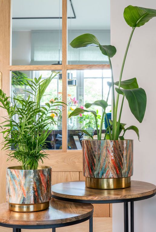 Celia pot goud roze plant
