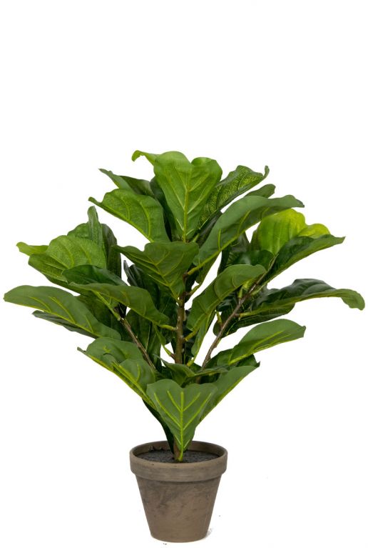Ficus-lyrata-Zehe-Kunstpflanze