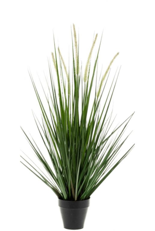 Graspflanze alopecurus Kunstpflanzen von 53cm kaufen?- 123zimmerpflanzen