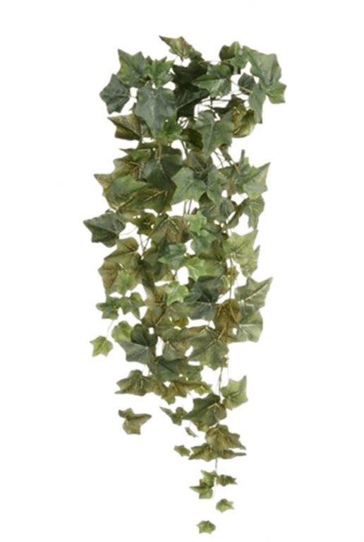 Ivy Hedera Kunstpflanzen von 70cm kaufen?- 123zimmerpflanzen