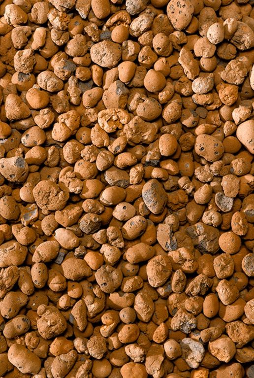 Hydrokultur blaehton 2