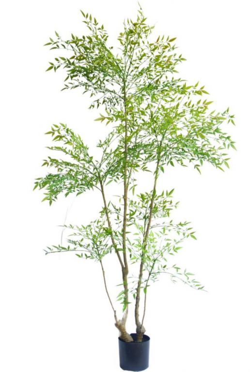 Kunst ruscus 180 sfeer