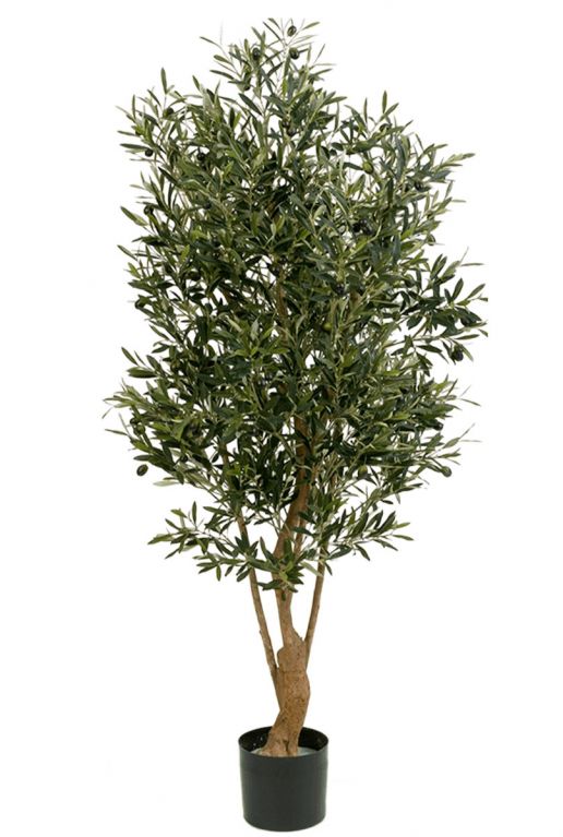 Kunstboom olijfboom olea