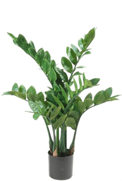 Kunstpflanze zamioculcas