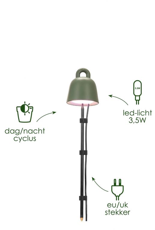 Leaf light plants care green 1
