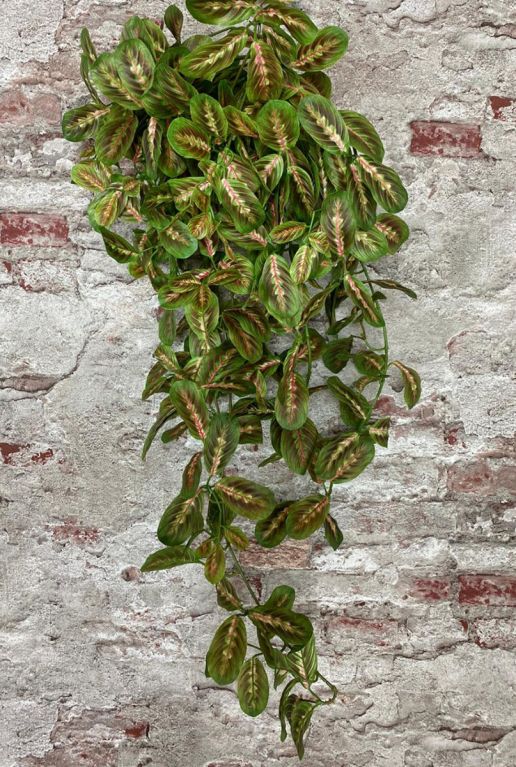 Maranta Kunstseide