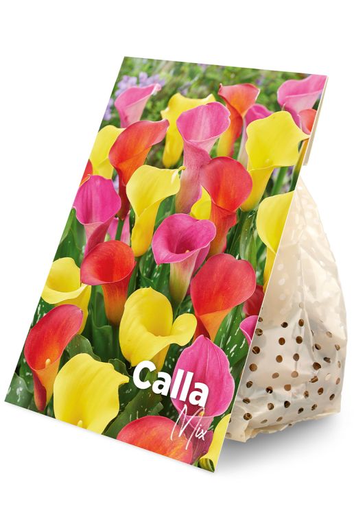Calla mix 