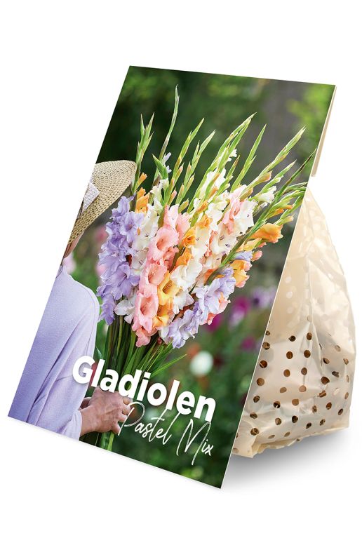 Gladiolen Pastel Mix 