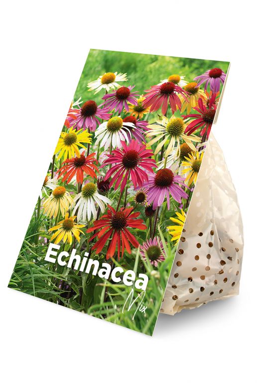 Echinacea Mix 