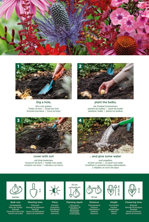 Perennial Pollinator Mix