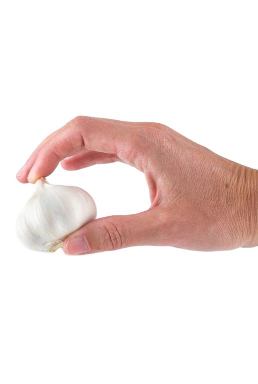Garlic White