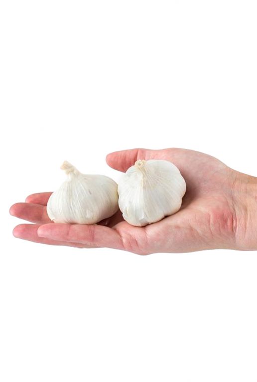Garlic White