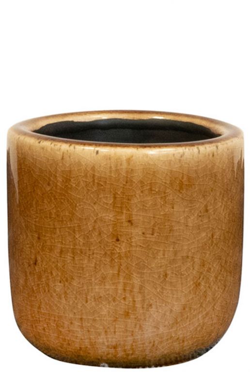 Pot nine caramel bruin