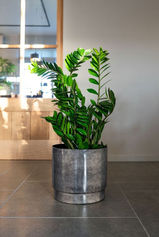 Rens metaal grijs pot