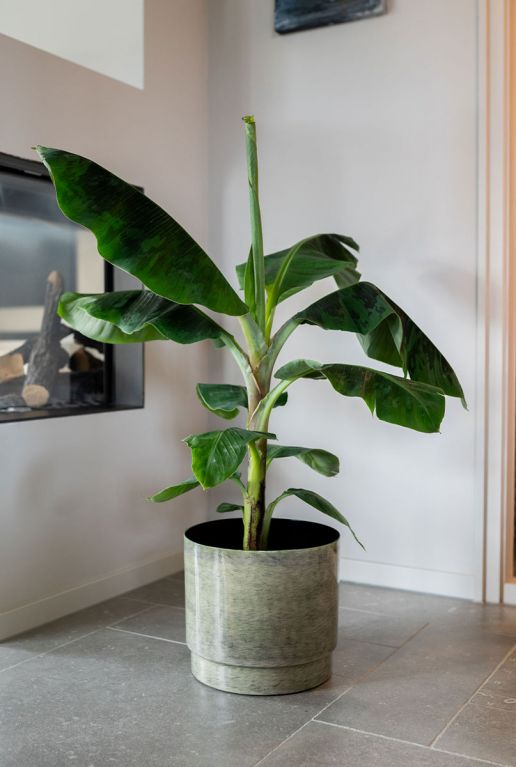 Rens metaal groen pot