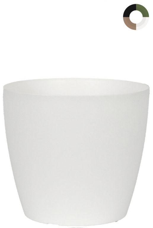 San-remo-weiss-12cm-