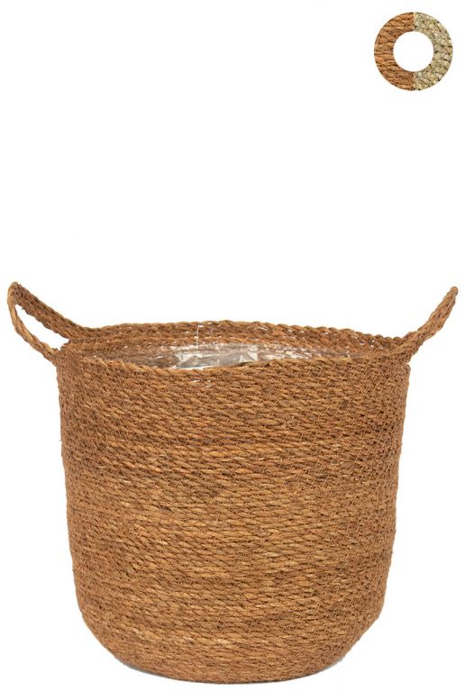 Ter-steege-nelis-camel-28cm 2