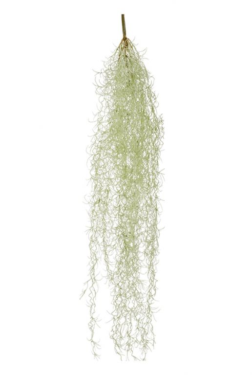 Tillandsia Kunstpflanzen von 95cm kaufen?- 123zimmerpflanzen