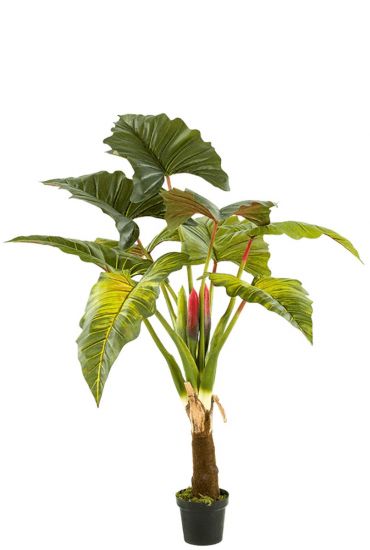 Colocasia alocasia künstliche Pflanze