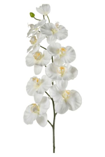 Ochidee wit kunstbloemen