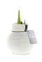 Amaryllis cozy fluffy wit