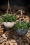 Artstone pot hangplant 2